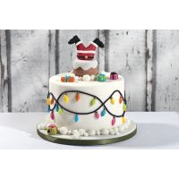 Motivtortenkurs-Karlsruhe-Motivtorte-nikolaus