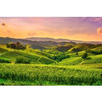 Online-Firmenfeier Genussreise mit Kollegen