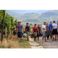 Weinprobe mit Wanderung Pfalz – Arbeiter