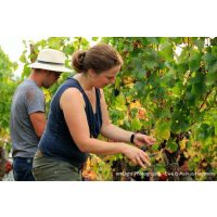 Weinprobe mit Wanderung Pfalz – Barbara Roth