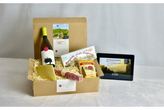 Virtuelle Reise ins Friaul Weinberge