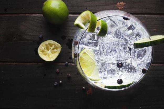 Gin-Tasting Dortmund: Gin-Drink mit Limetten