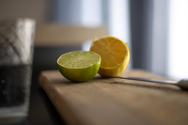 Gin-Tasting München – Zitrone, Limette