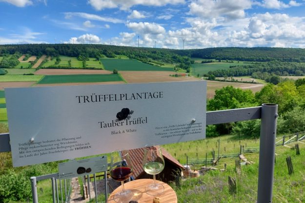 Trüffel Verkostung Würzburg wo kann man den besten Trüffel kaufen