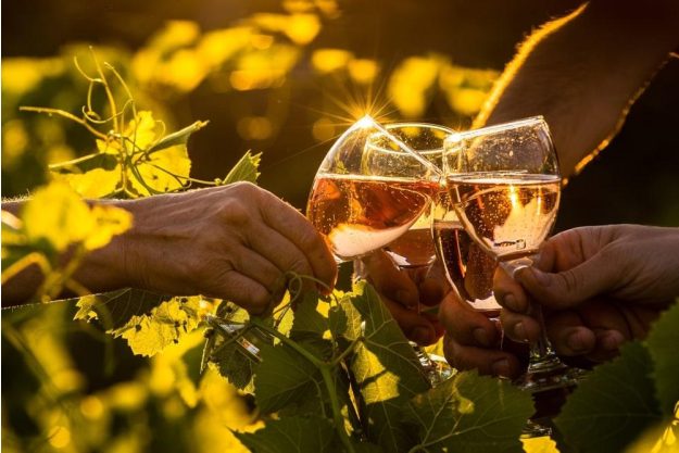 Wein-Wanderung Pfalz: Wein verkosten im Abendlicht