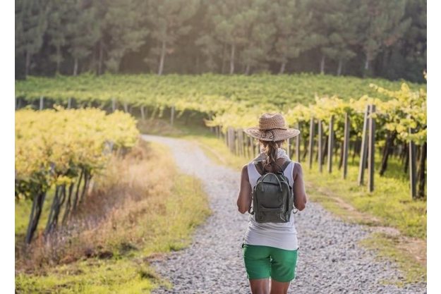 Wein-Wanderung Pfalz: junge Frau wandert