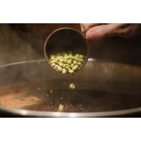 Braukurs Heidelberg – Hopfen