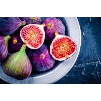 Erotic Food Kurs Heidelberg – Feigen