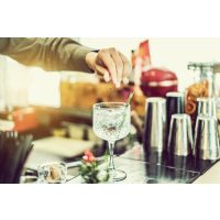 Gin-Tasting-Gutschein – Dry Gin Zubereitung