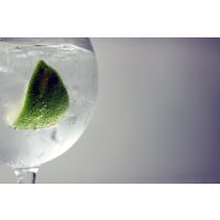 Gin-Tasting Heidelberg – Gin mit Limette