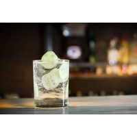 Gin-Tasting Heidelberg – Gin mit Gurke