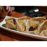 Japanischer Kochkurs Berlin – gefüllte Gyoza