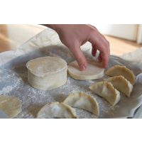 Kochkurs Hamburg – Gyoza