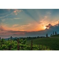 Virtuelle Reise schönste Weinberge