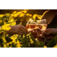 Wein-Wanderung Pfalz: Wein verkosten im Abendlicht