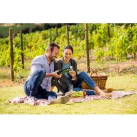 Wein-Wanderung Pfalz: Picknick im Weinberg