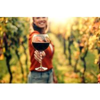 Wein-Wanderung Pfalz: Rotwein probieren mitten im Weinberg