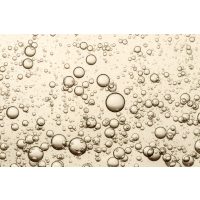 Weinprobe-Frankfurt das große Prickeln