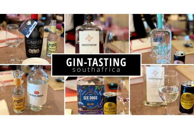 GIN-Tasting Südafrika – 6 Gins mit Tonics & Sommelier