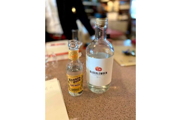 GIN-Tasting Südafrika – 6 Gins mit Tonics & Sommelier