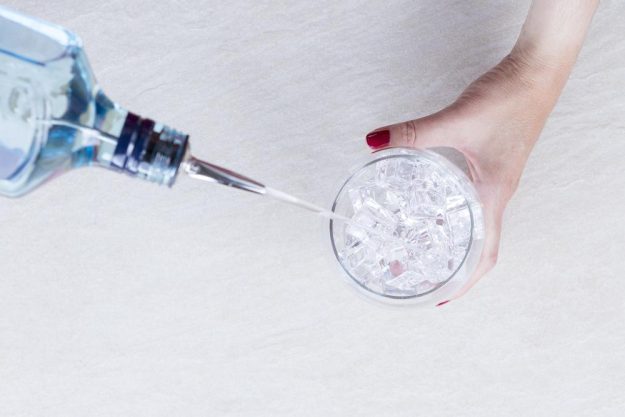 Gin-Tasting Bonn – Gin mit Eis