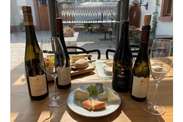 Käse-und-Wein-Degustation-online herrlicher Weichkäse und Wilhelmshof Weine