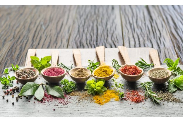 Kräuterwanderung Freiburg Kräuter und Gewürze aus der Natur