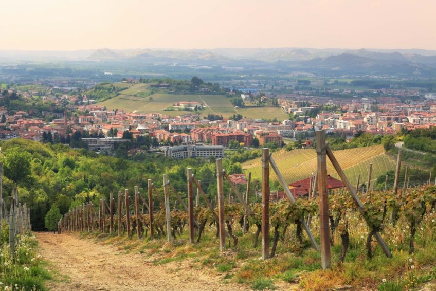 Virtuelle Reise Große Genussreise ins Piemont@Home für 2-4
