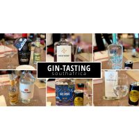 GIN-Tasting Südafrika – 6 Gins mit Tonics & Sommelier