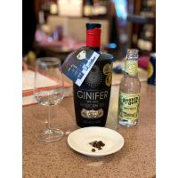 GIN-Tasting Südafrika – 6 Gins mit Tonics & Sommelier