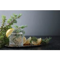 Gin-Tasting Ludwigsburg –der beste Gin Tonic