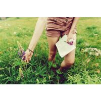 Kräuterwanderung München – Frau sammelt Wildpflanzen