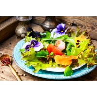 Kräuterwanderung Freiburg Kapuzinerkresse