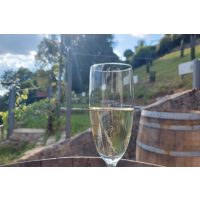 Trüffel Verkostung Würzburg einmaliges Erlebnis mit Champagner