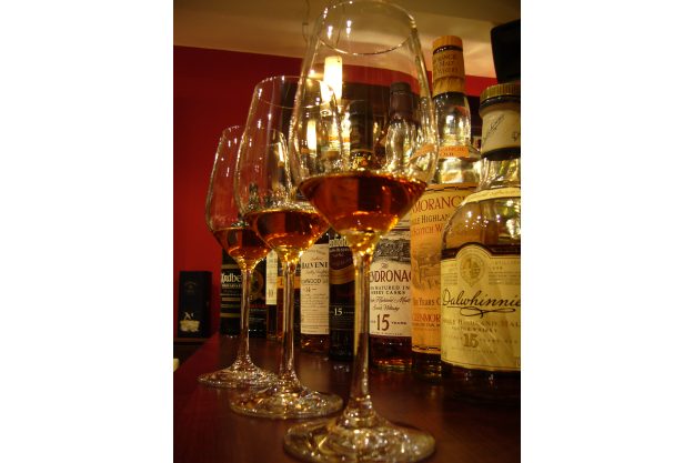 Whisky-Tasting Frankfurt-Hofheim – Mann trinkt Whisky