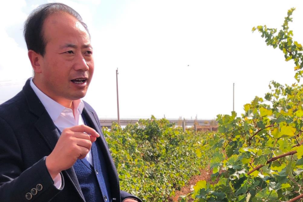 digitales Event Weinreise China chinesischer Wein