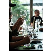 Winetasia® Games – WM Edition in Stuttgart