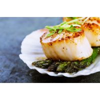 Tag am Meer - Jakobsmuscheln