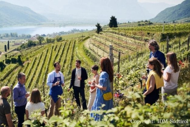 virtuelle Reise Südtirol im Weinberg