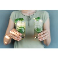 Gin-Tasting Bonn – Gin mit Basilikum