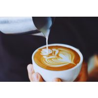 Intensiv Barista-Kurs Herten – Latte Art Blume