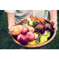 Vegetarischer Kochkurs Schwerte – Gemüsekorb