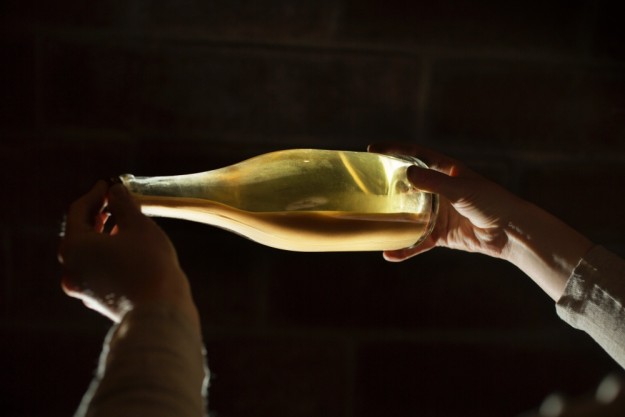 Weinprobe mit Wanderung Pfalz –Wein