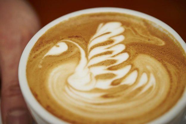 Barista-Kurs Stuttgart – Latte Art Schwan