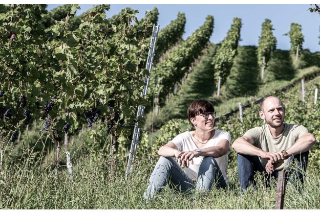 Weinprobe Stuttgart – Wein trinken