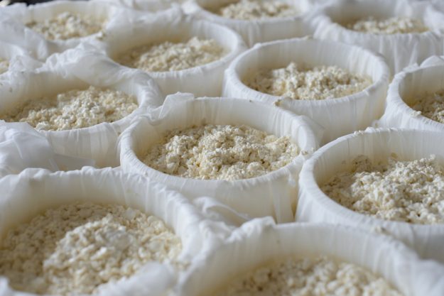 Käse selber machen Dresden – Käse herstellen
