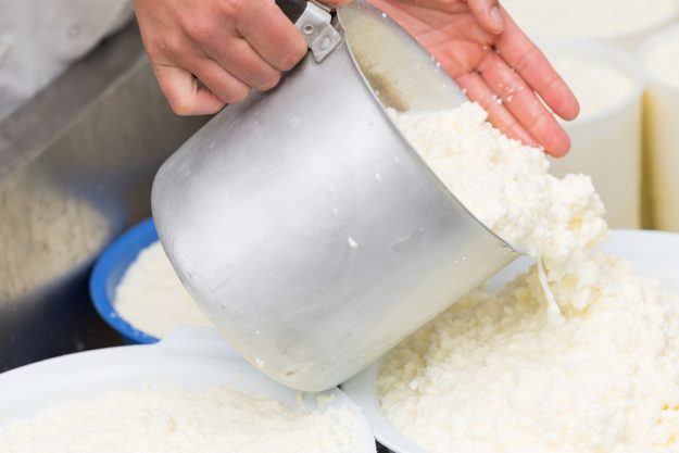 Käse selber machen Dresden – Käsemasse