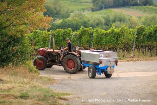 Weinwanderung online Traktor