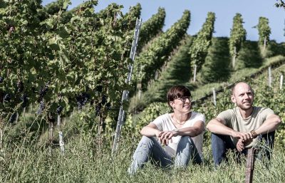 Weinprobe mit Weinbergspaziergang bei Stuttgart Ein Nachmittag im Weingut