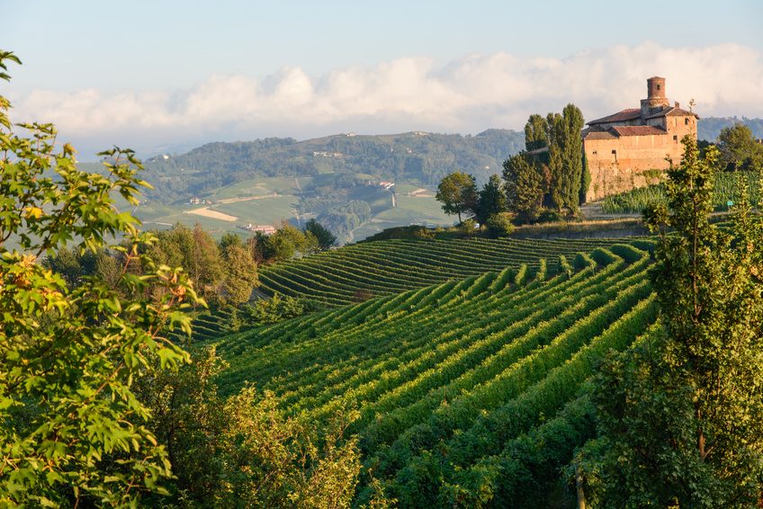 Italienisches Weinseminar Stuttgart Die großen Weine Italiens
